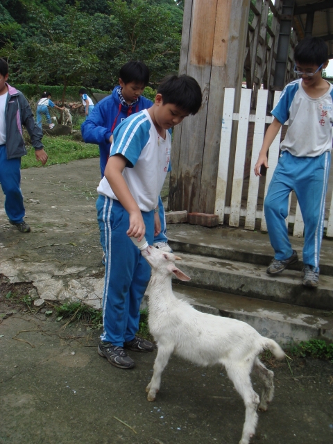 DSC04550