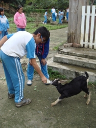 DSC04553