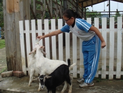 DSC04554