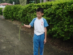 DSC04562