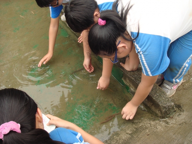 DSC04629