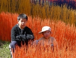 DSCN0631