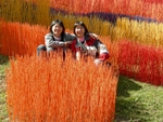 DSCN0633