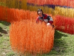 DSCN0634