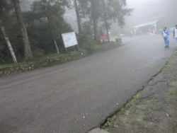 DSC00662