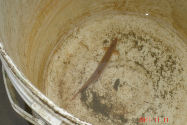 DSC00657