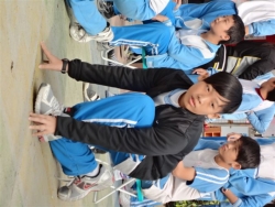 DSC00740