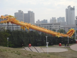 DSC05040