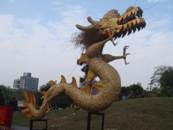 DSC05059