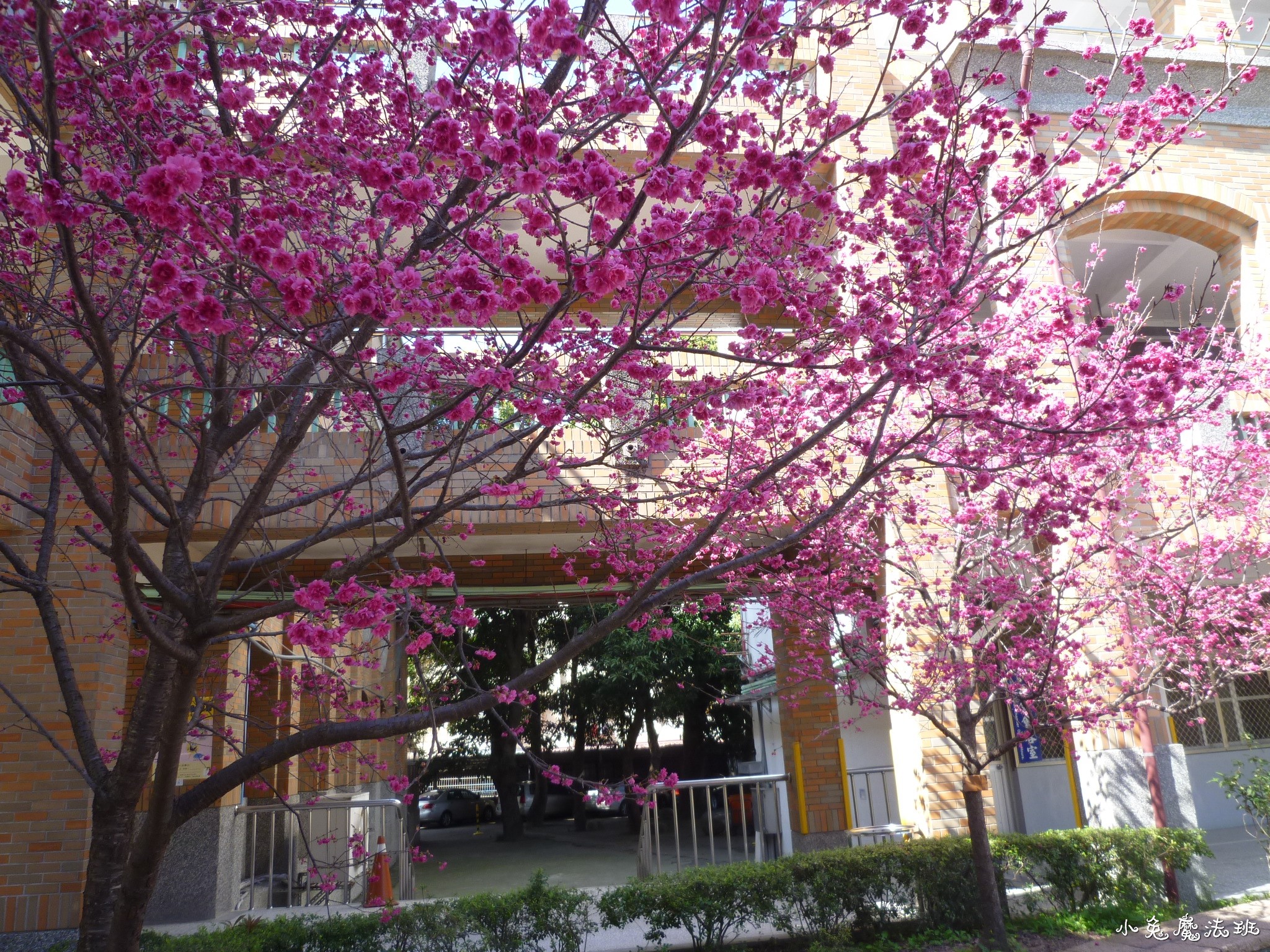 Image00002