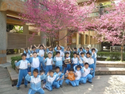 Image00007