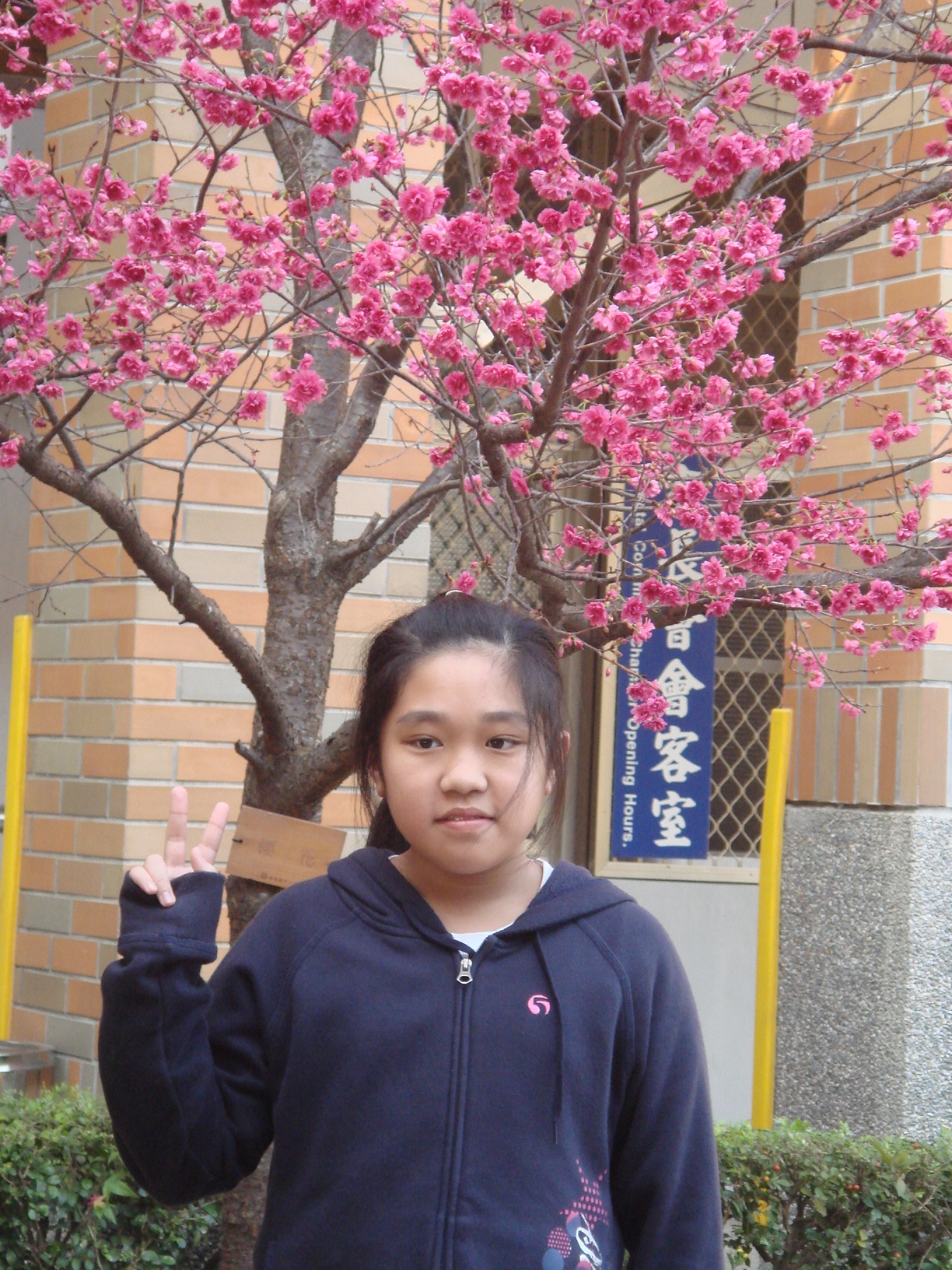 DSC05315