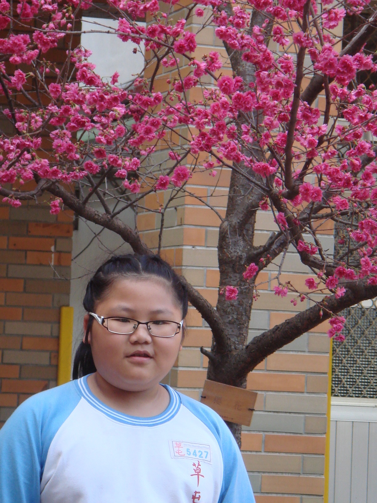 DSC05331
