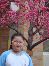 DSC05331