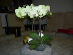 DSCN0811
