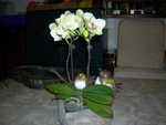 DSCN0812