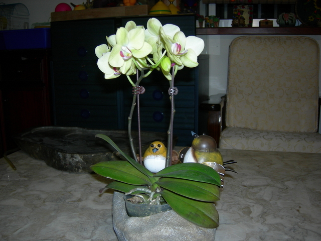 DSCN0812