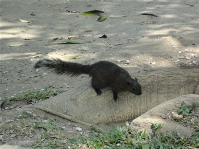DSC01026