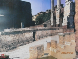 P4200184