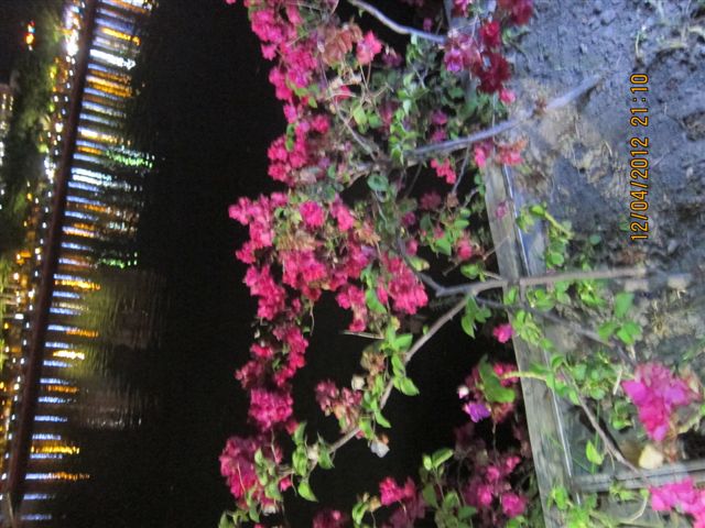 IMG_0174