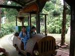 DSCN0784