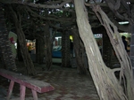 DSCN0324