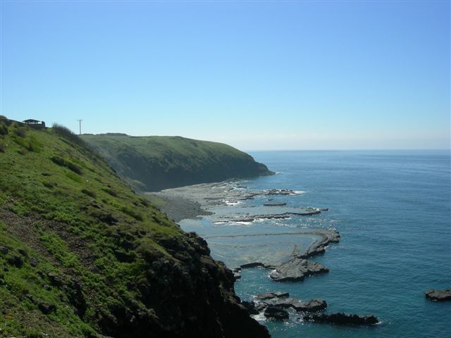 DSCN0355