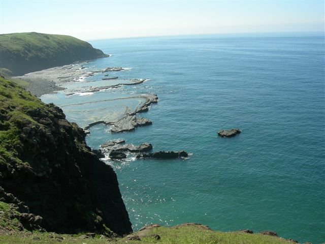 DSCN0356