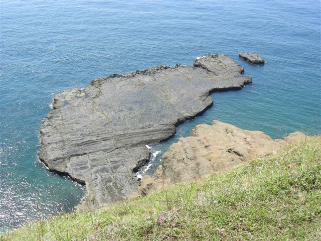 DSCN0358