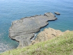 DSCN0358