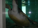 DSCN0375
