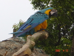 DSC02889