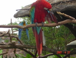 DSC02911